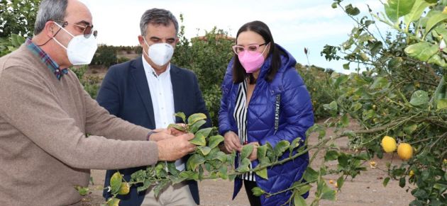 El PP apremia a SÃ¡nchez a exigir a la UE el refuerzo de las fronteras para impedir la entrada de cÃ­tricos que supongan una amenaza pa