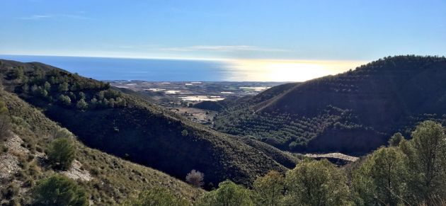 El PP denuncia el descontrol de la gestiÃ³n del equipo de Gobierno al no adherirse al plan de prevenciÃ³n de incendios forestales