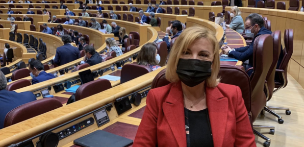 El PP urge a Sánchez a poner autobuses adaptados para usuarios con discapacidad afectados tras el cierre de los Cercanías
