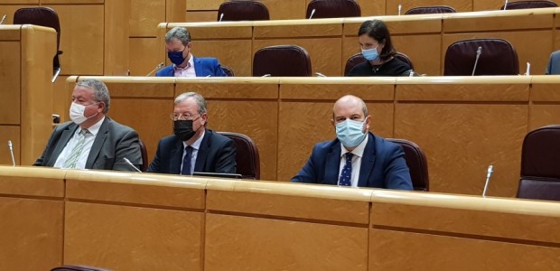 El PSOE se opone a que la línea de tren Murcia-Águilas se mantenga en servicio mientras se ejecutan las obras de la Alta Velocidad