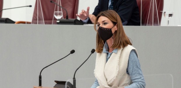 Ruiz Jódar: “El PSOE demuestra su bajeza moral creando alarma social y mintiendo sobre la atención hospitalaria a las mujeres embarazad