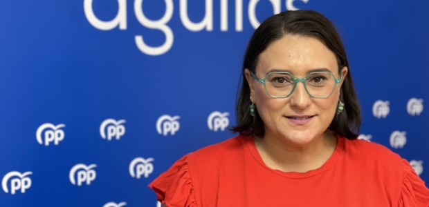 El PP insta al pleno municipal a oponerse a la tramitación de una ley de Amnistía