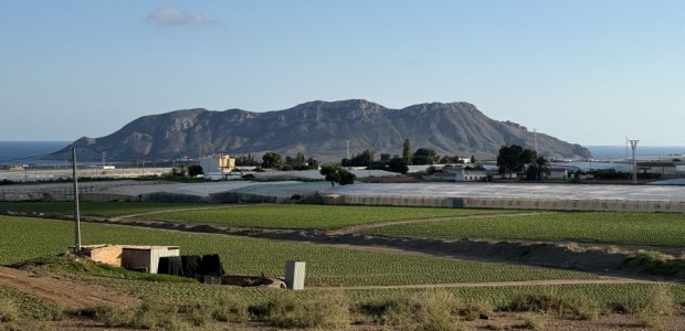El Partido Popular de Águilas respalda a los regantes y defiende sus alegaciones frente al Plan de Conservación de la Tortuga Mora