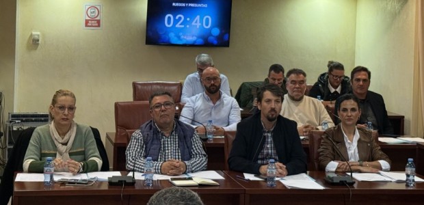 El Partido Popular consigue que el equipo de Gobierno ponga el foco de atención en el Paseo de la Colonia