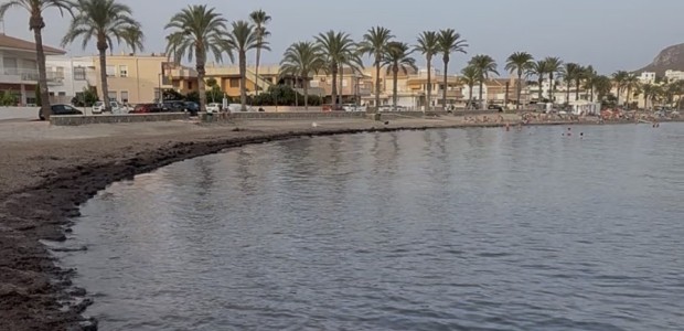 El PP vuelve a reclamar soluciones para recuperar la playa de Calabardina