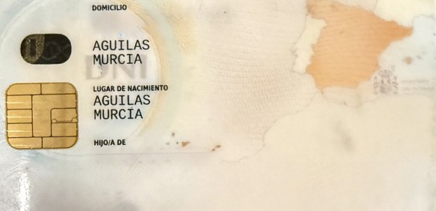 El PP pide al Gobierno de España que las familias aguileñas puedan elegir Águilas como lugar de nacimiento de sus hijos
